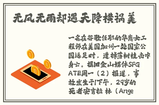 脱色摇床93s